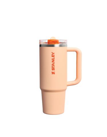 The Quencher ProTour Flip Straw Tumbler​ | 30 OZ Orange Sherbet