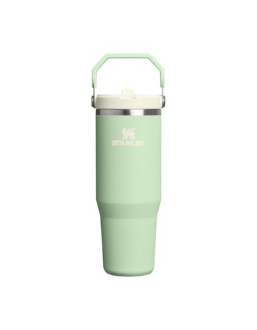 The IceFlow&trade; Flip Straw Tumbler | 30 OZ Pistachio