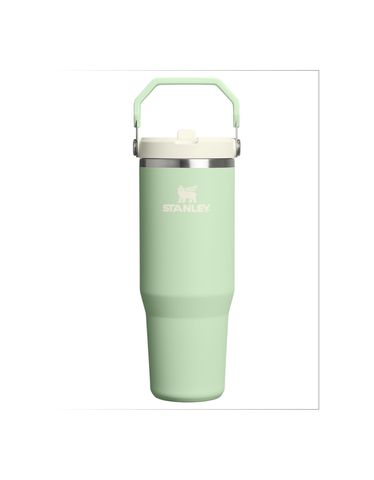The IceFlow™ Flip Straw Tumbler | 30 OZ Pistachio