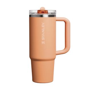 The Oasis Quencher ProTour Flip Straw Tumbler | 30 OZ | 0.89 L | Apricot