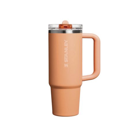 The Oasis Quencher ProTour Flip Straw Tumbler | 30 OZ | 0.89 L | Apricot