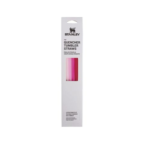 Adventure Quencher Travel Tumbler Straws | 40 OZ | 4-Pack | Pink