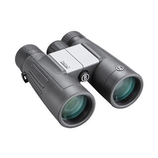 Powerview 2 10x42 binos