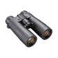 Fusion X 10x42 LRF Bino