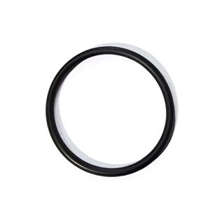 C/Part Guardian Pist Nut Assy o-ring