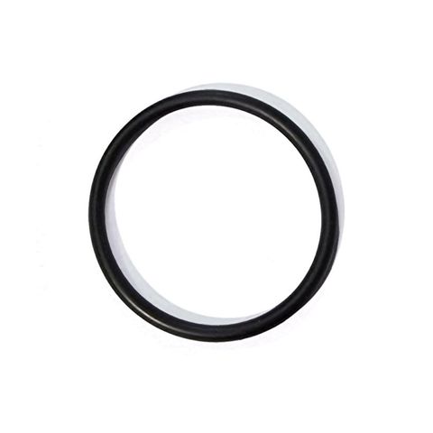 C/Part Guardian Pist Nut Assy o-ring