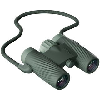 A1 - 8x25mm Cilantro Green