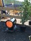 BE DIESEL RADIANT HEATER 70,000BTU 20.5KW