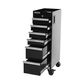 KINCROME MOBILE SERVICE TROLLEY 6 DRAWER 300MM