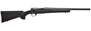 HOWA BARRELLED ACTION BLUED VARMINT 243