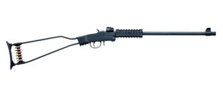 CHIAPPA LITTLE BADGER 22LR 16.5IN