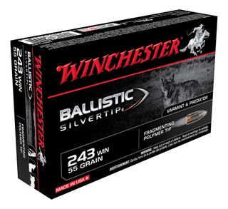 WINCHESTER SUPREME 243WIN 55GR BST 20PKT