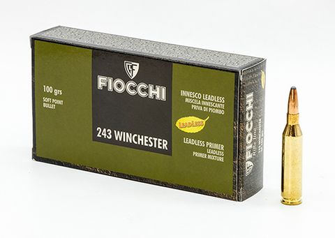 FIOCCHI 243 WIN 100G SP 20PK