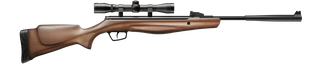 STOEGER RX20 WOOD 177CAL W/- 4X32 SCOPE