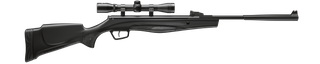 STOEGER RX20 DYNAMIC SYN 5.5MM W/- 4X32 SCOPE