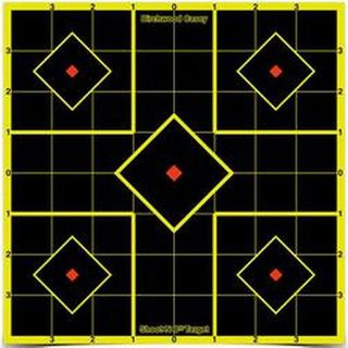 BIRCHWOOD CASEY SHOOT N SEE SIGHT IN TARGETS 8INCH 6PKT