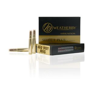 WEATHERBY 460WBY 500GR DGS SOLID 20PK