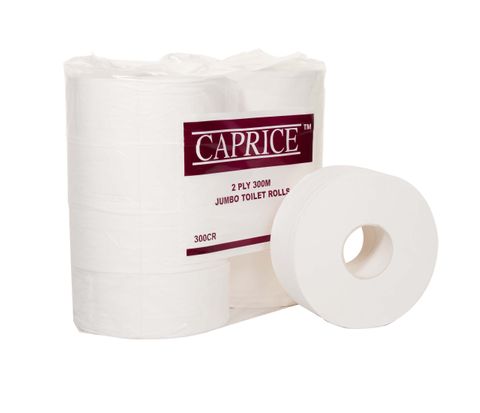 JUMBO 2 PLY TOILET ROLL ECONOMY 300M [300CR]