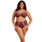 Elomi Matilda Plunge Bra - Sugarplum