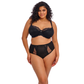 Elomi Brianna Padded Half Cup Bra