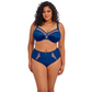 Elomi Cate Allure Bra - Lapis