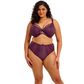 Elomi Kintai Plunge Bra - Blackberry