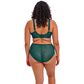 Elomi Kintai Plunge Bra - Deep Teal