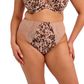 Elomi Lucie Brief - Wildcat