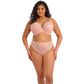 Elomi Lucie Plunge Bra