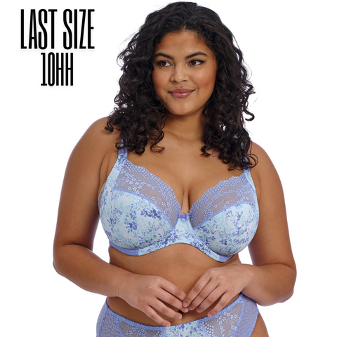 Elomi Lucie Plunge Bra - Cornflower