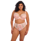 Elomi Lucie Plunge Bra - Cosmos
