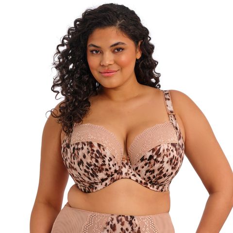 Elomi Lucie Plunge Bra - Wildcat