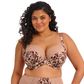 Elomi Lucie Plunge Bra - Wildcat
