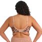 Elomi Lucie Plunge Bra - Wildcat