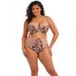 Elomi Lucie Plunge Bra - Wildcat