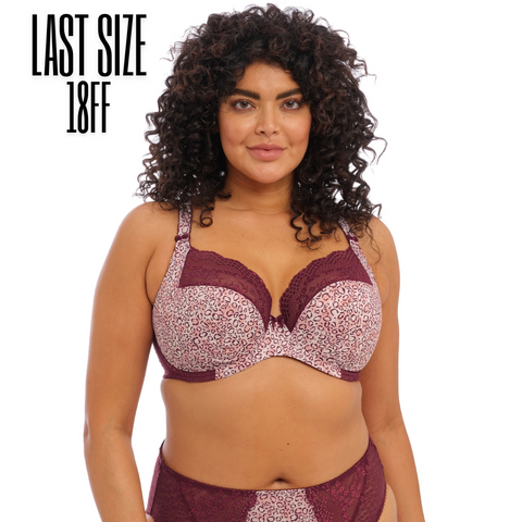 Elomi Lucie Plunge Bra - Wild Thing