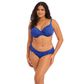 Elomi Pebble Cove Plunge Bikini - Blue