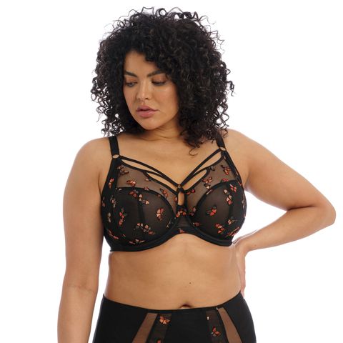 Elomi Sachi Plunge Bra