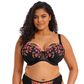 Elomi Teagan Padded Half Cup Bra - Rainbow