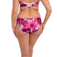 Fantasie Pippa Brief - Raspberry Ripple