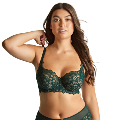 Panache Allure Full Cup Bra - Forest Green