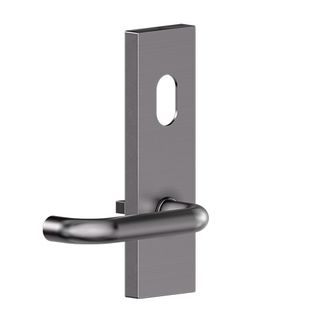 Carbine Serens CSF18 Extl Cyl & Lvr Plate SS