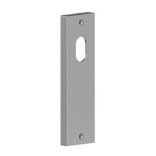 Carbine Serens CSF19 Intl Cyl Only Plate SS