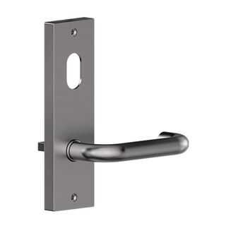 Carbine Serens CSF19 Intl Cyl & Lvr Plate SS