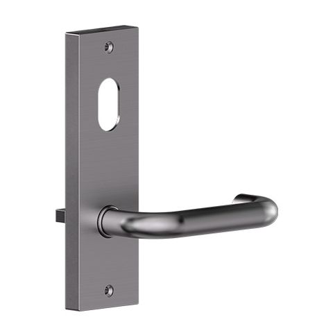 Carbine Serens CSF19 Intl Cyl & Lvr Plate SS