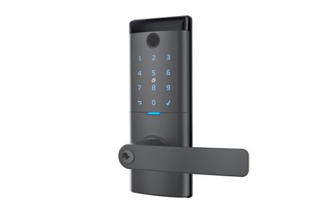 Schlage Ascent Smart Ent. Lever - Graphite