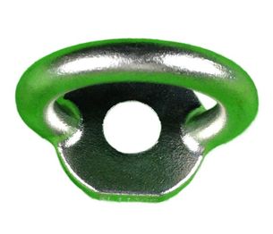 Latchways Standard D-Ring