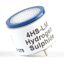 Hydrogen sulfide (H2S) sensor