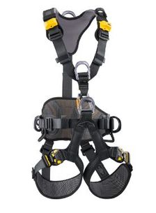 PETZL Avao Bod Fast Harness (INT), size 2 [BLK/YEL]