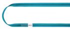 Edelrid X-Tube 25mm Loop Sling 80cm icemint NFC